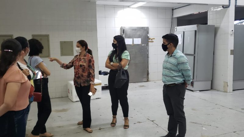 Equipe da Sesam de Piripiri participa de treinamento sobre acondicionamento e manuseio de vacina da Pfizer