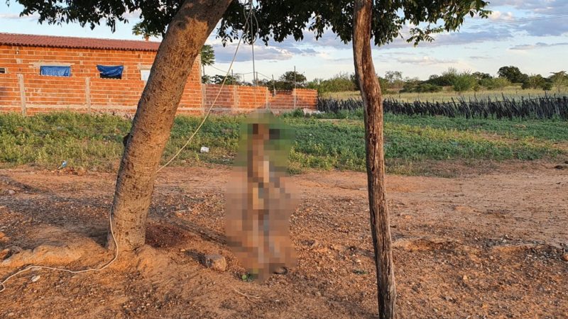 Idoso mata cadela enforcada em praça pública no Sul do Piauí