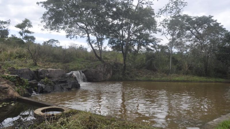 Secretaria de Meio Ambiente começa a limpeza de duas reservas ecológicas de Piripiri