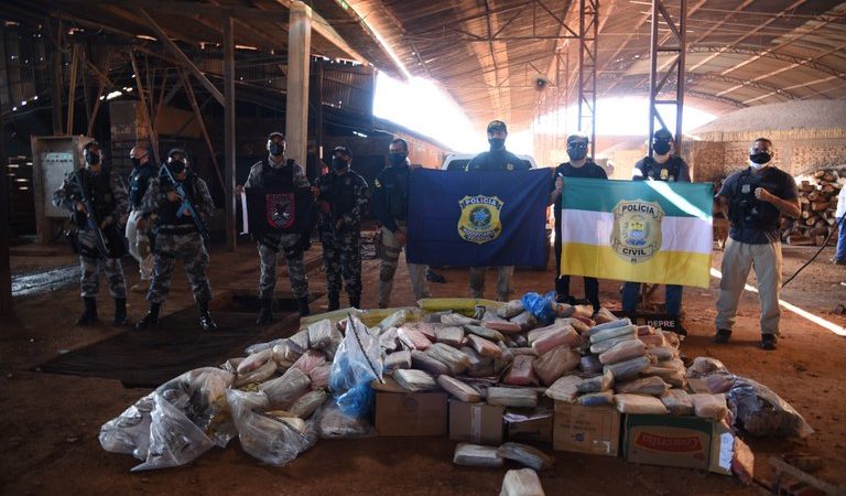 Forças de segurança incineram mais de meia tonelada de drogas apreendidas em operação