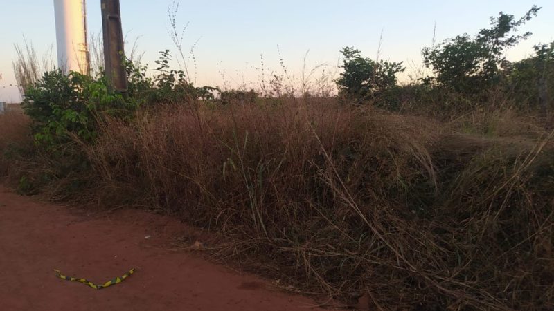 Policial militar do Piauí é assassinado a tiros em Timon (MA)