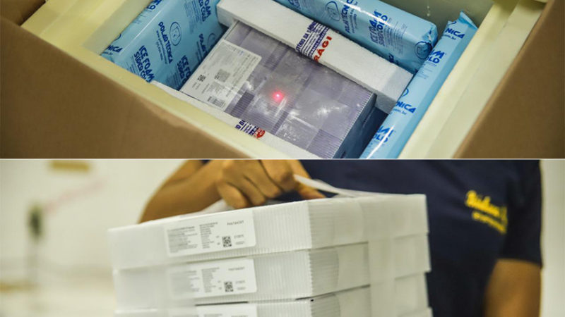 Nova remessa com cerca de 57 mil doses de vacinas contra a Covid-19 chega ao Piauí