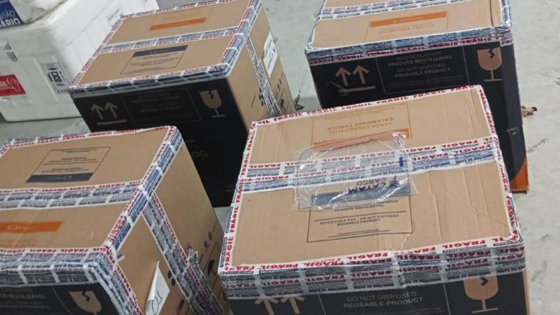 Piauí recebe 65 mil doses de vacinas contra a Covid-19 nesta sexta-feira (13)