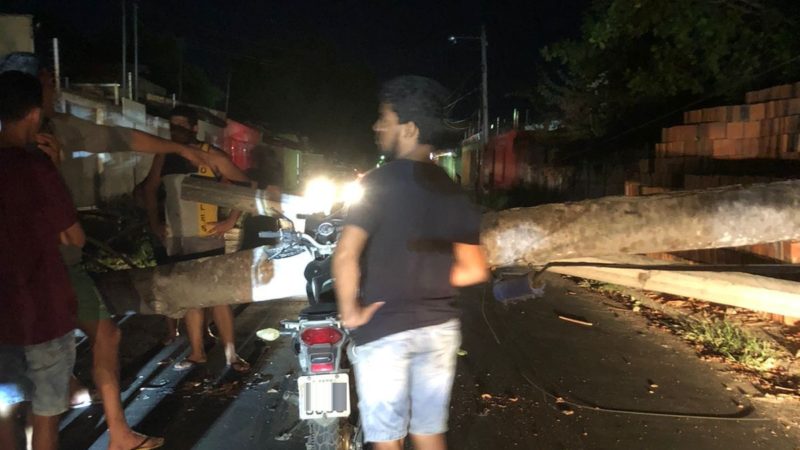 Árvore cai no meio da rua e por pouco não atinge motoqueiro em Piripiri