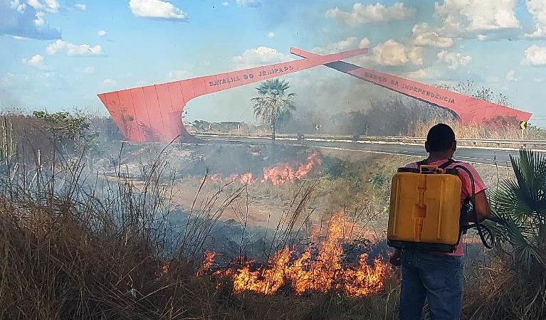 Incêndio destrói parte de vegetação do Monumento do Heróis do Jenipapo após 4h de duração