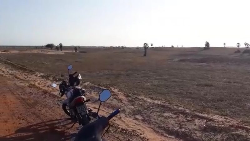 Corpo de homem é encontrado com marcas de tiro próximo à Árvore Penteada em Luís Correia