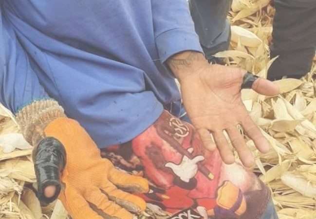 Piauienses são resgatados recebendo R$ 5 para “bater” palha em Goiás