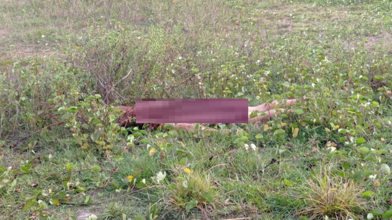 Mulher de 23 anos é assassinada a tiros em bairro de Piripiri