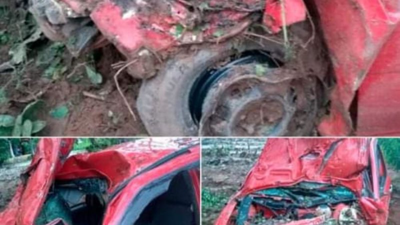 Automóvel capota após colisão contra animal na PI-216, em Pedro II