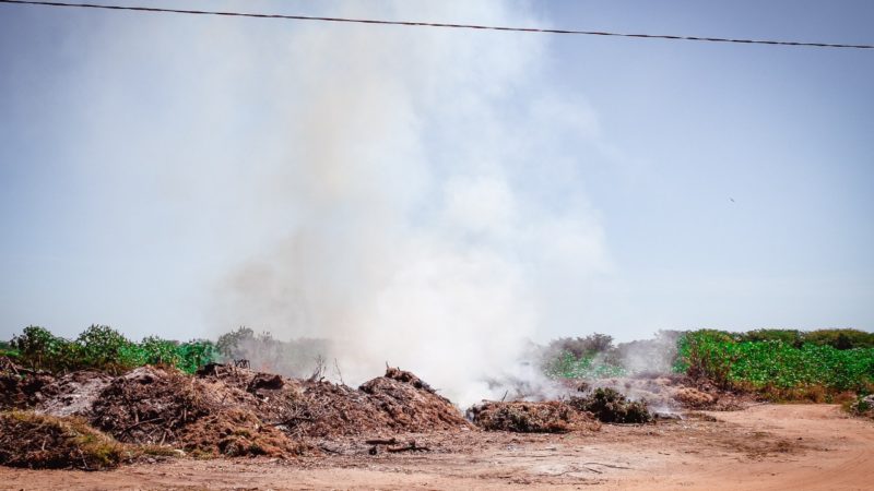 Prefeitura de Piripiri e Instituto Chico Mendes se unem no combate a incêndio no aterro sanitário