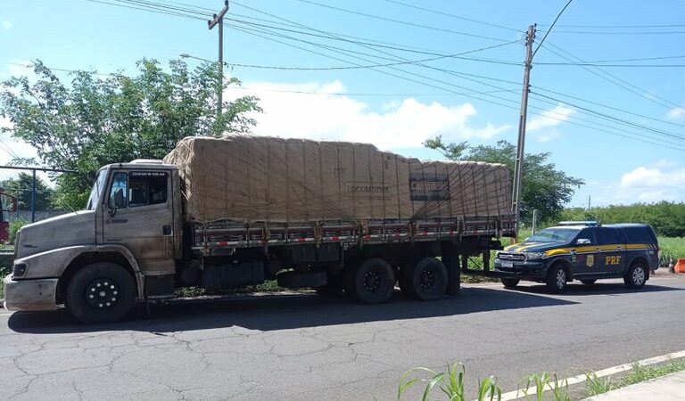 Caminhoneiro é preso por uso de documento falso em Piripiri