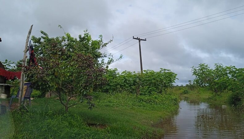 Prefeitura de Barras decretará estado de calamidade devido às fortes chuvas