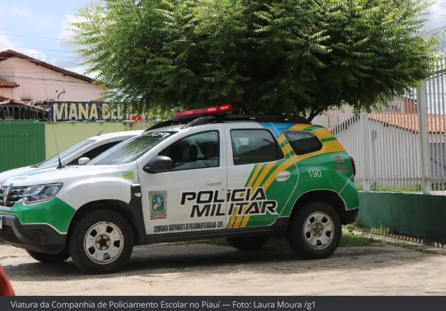 Adolescente de 13 anos é apreendido pela polícia após levar arma de fogo para escola em Teresina