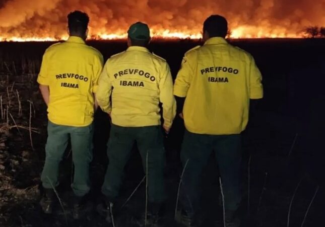 Ibama publica editais de concursos que somam mais de 1,3 mil vagas para combate e prevenção a incêndios florestais