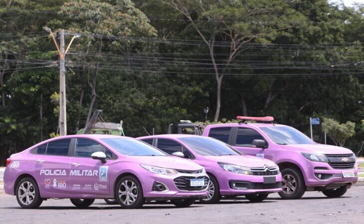 Protocolo de proteção às mulheres vítimas de violência entra em vigor no Piauí