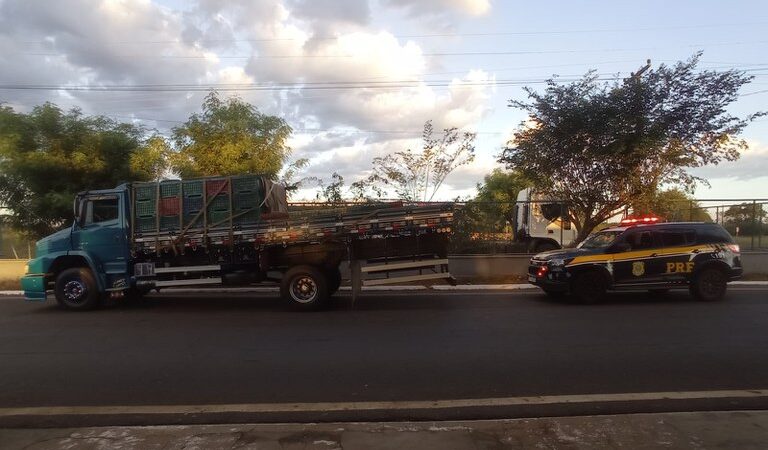 Caminhoneiro é autuado por porte de drogas para consumo e crime ambiental em Piripiri