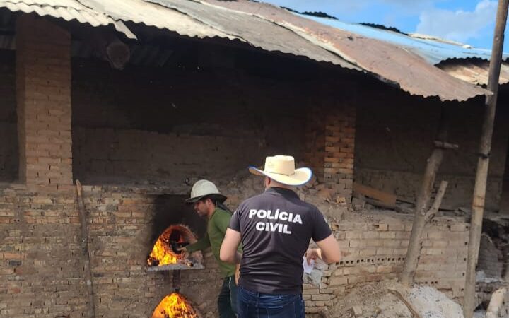 Polícia Civil realiza incineração de drogas no Piauí