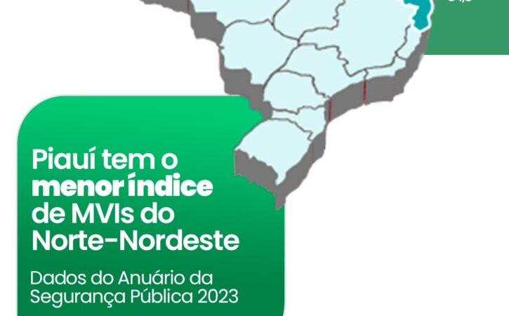 Piauí tem menor taxa de Mortes Violentas Intencionais (MVI) do Norte-Nordeste