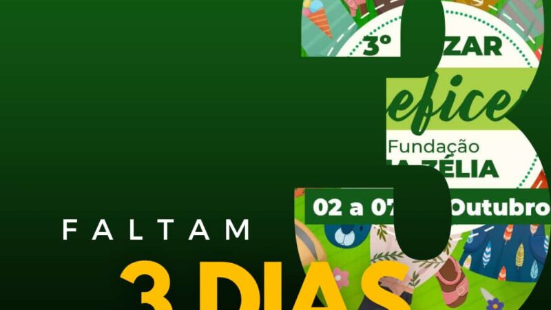 Contagem regressiva para o 3º Bazar beneficente da Fundação Tia Zélia, de 02 a 07 de outubro em Piripiri