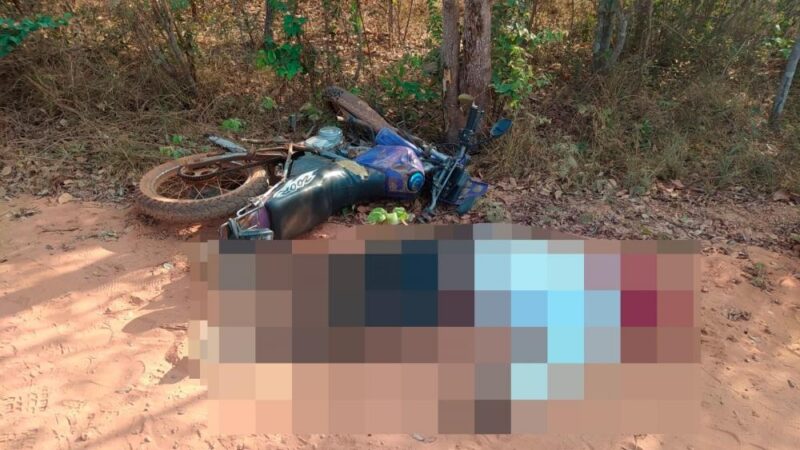 Motociclista de 28 anos morre após colidir contra árvore em Milton Brandão