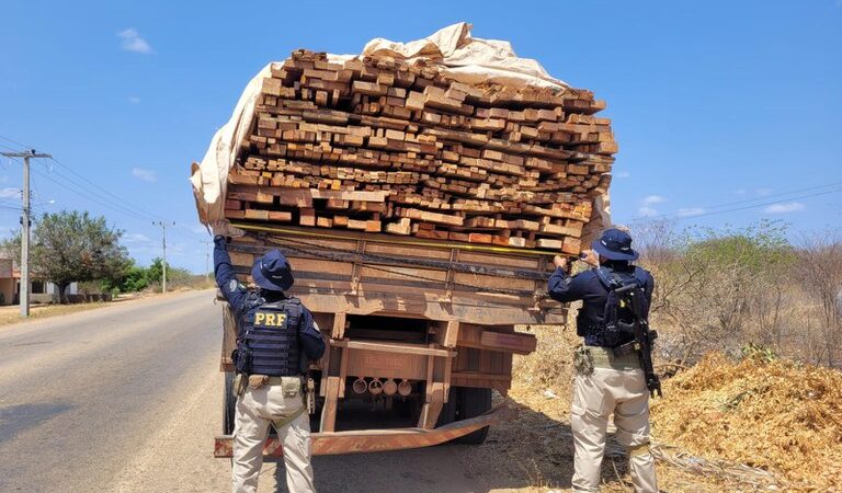 Transporte ilegal de madeira com destino à Bahia é apreendida pela PRF no Piauí