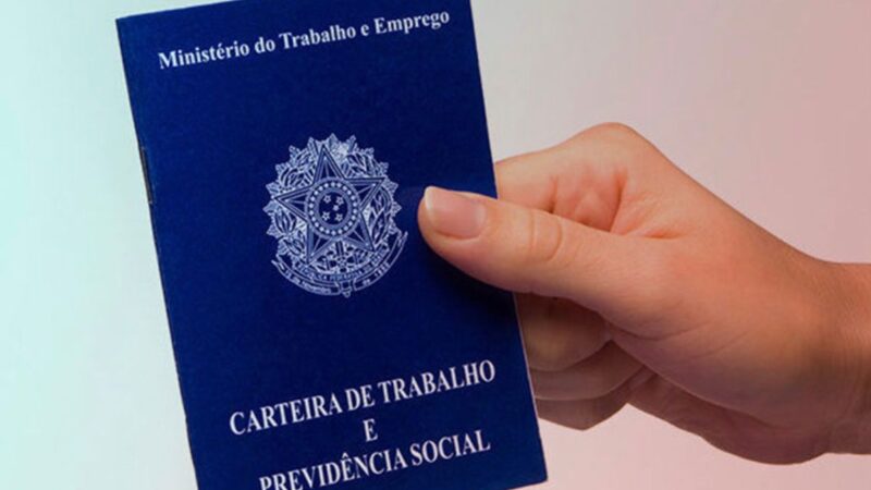 Piauí tem maior crescimento percentual de empregos formais do Brasil no acumulado do ano