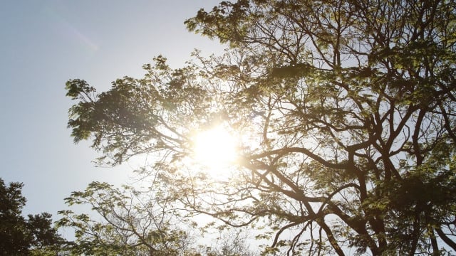 Piauí tem as treze cidades mais quentes do Brasil; Piripiri está na lista!