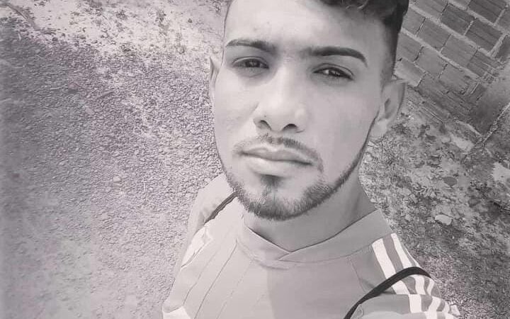 Jovem morre após ataque de abelhas enquanto trabalhava na zona rural de Pedro II