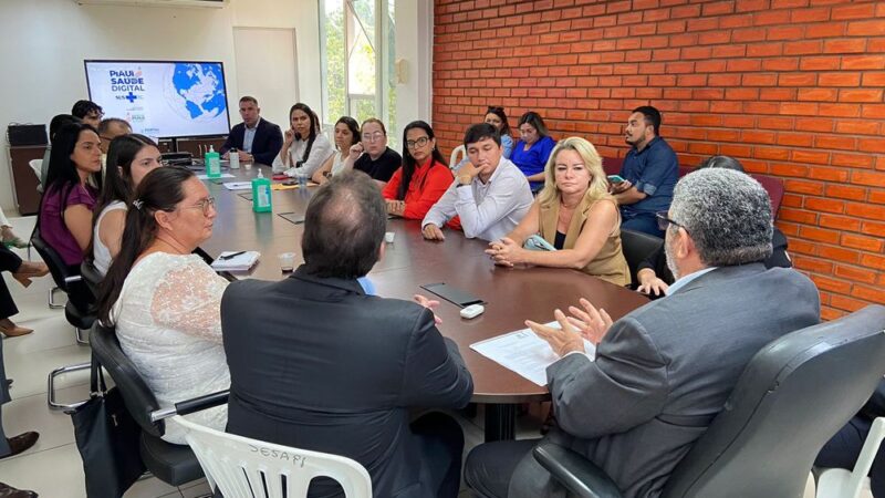 Sesapi apresenta Programa Piauí Saúde Digital para municípios do território dos Cocais