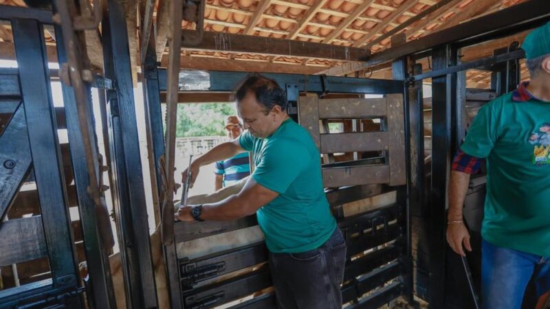 Aftosa: Sada e Adapi esperam vacinar 95% do rebanho piauiense na segunda etapa da campanha