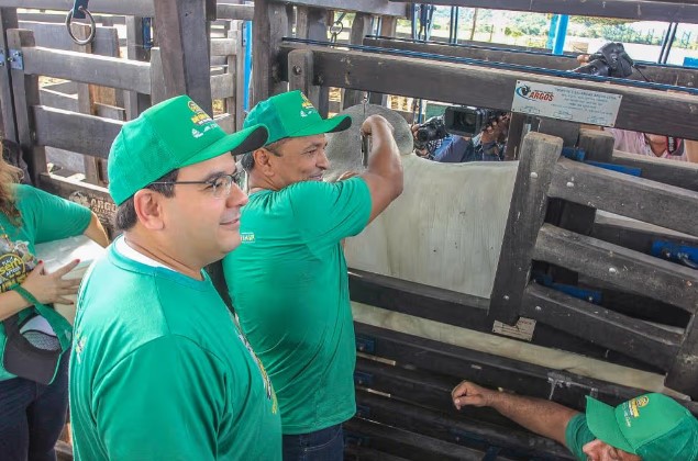 Piauí inicia segunda etapa da Campanha de Vacinação Contra Febre Aftosa