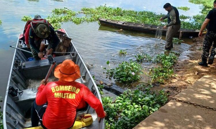 Semarh intensfica a fiscalização nos rios Parnaíba e Poti durante a piracema