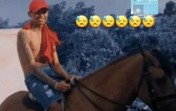 Vaqueiro de 16 anos e cavalo morrem atropelados por ônibus na BR-343 em Piripiri