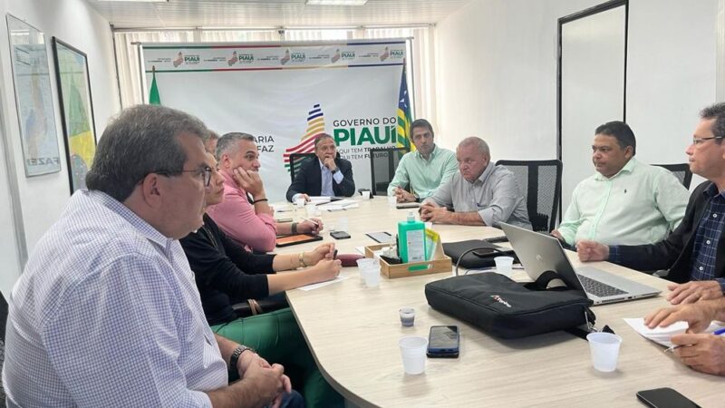 Piauí ganhará três novas empresas que serão instaladas em Ribeiro Gonçalves e Teresina