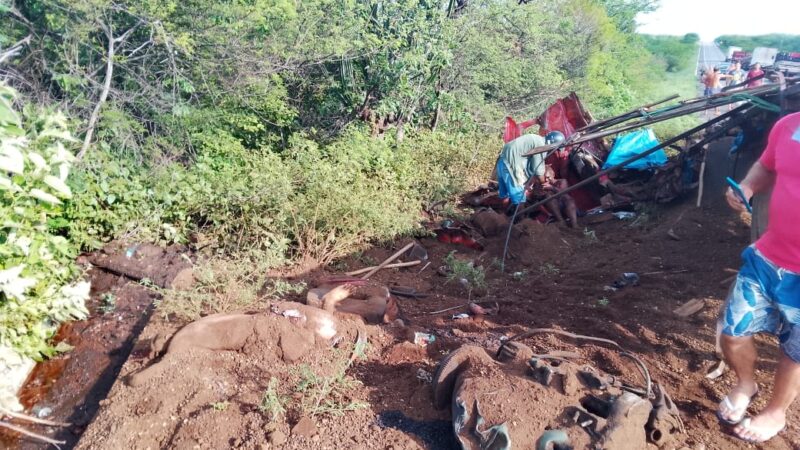 Dois piauienses morrem após grave colisão frontal de dois caminhões na BR-407 em Pernambuco