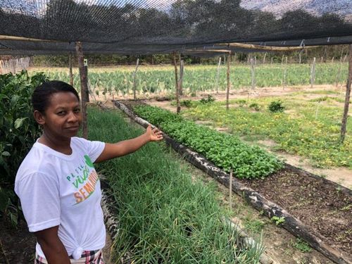 Projeto transformou a vida de 36 mil famílias de agricultores em 89 municípios do semiárido no Piauí