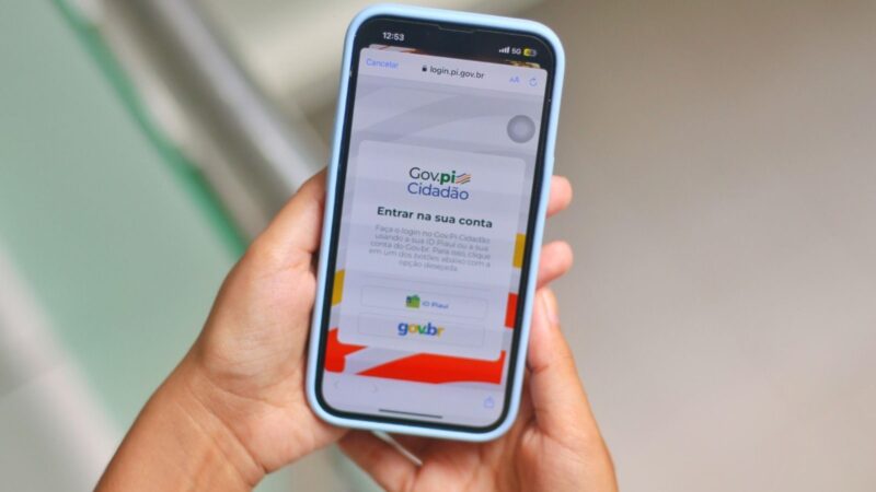 Gov.pi Cidadão: plataforma digital garante a segurança dos dados do usuário