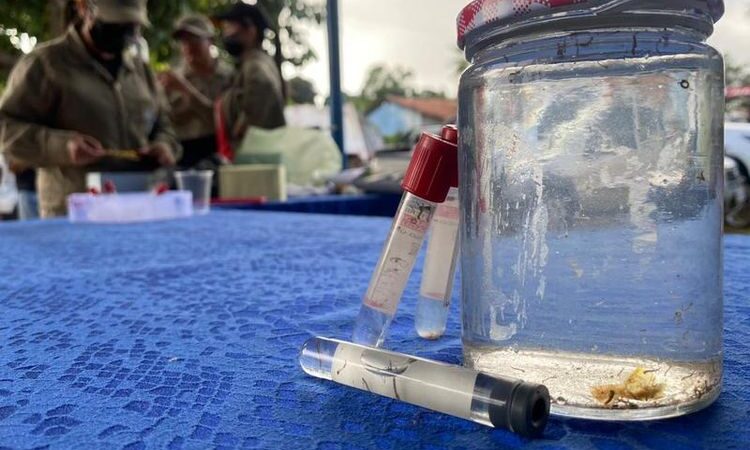 Sesapi encaminha aos 224 municípios do Piauí recomendações sobre controle do mosquito Aedes aegypti