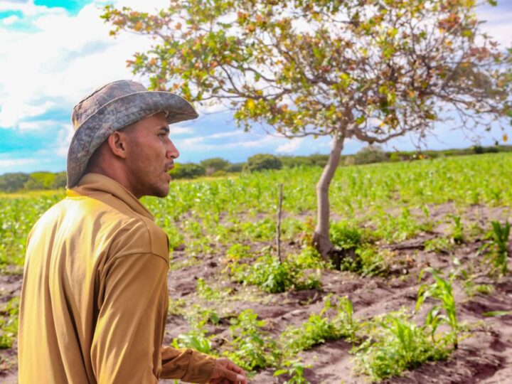 Agricultores Familiares de 48 municípios do Piauí serão beneficiados com o Garantia Safra