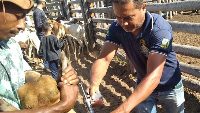 Cerca de 600 propriedades rurais serão beneficiadas com o serviço de vacinação assistida no Piauí