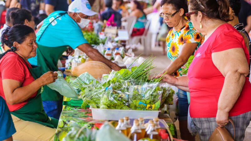 Em Teresina, delegações do G20 visitarão horta comunitária e Quitanda da Agricultura Familiar nesta sexta (24)