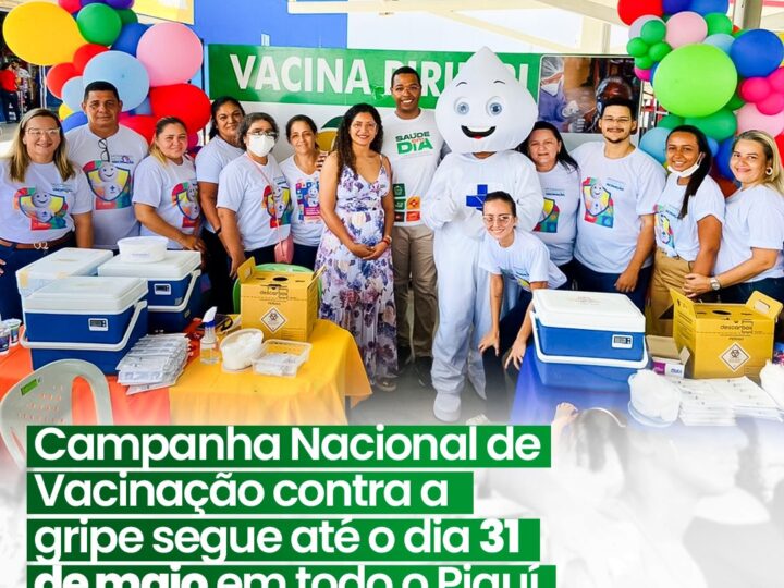Campanha Nacional de Vacinação contra a gripe segue até dia 30 de maio em todo Piauí