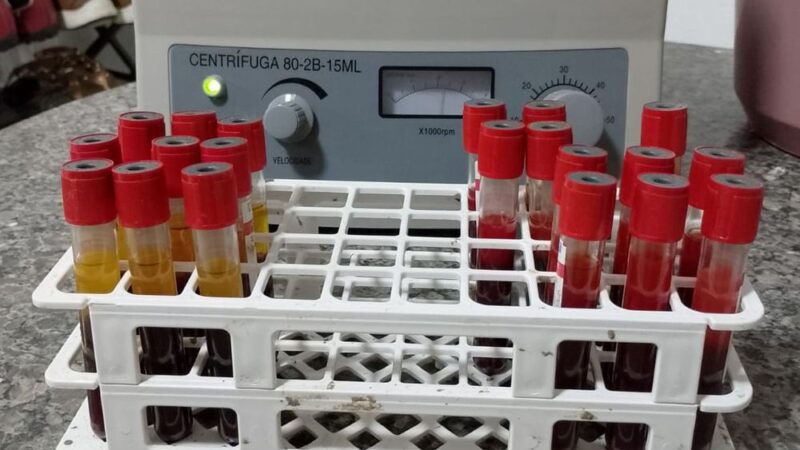 Laboratório Federal comprova que não há circulação do vírus da febre aftosa no Piauí