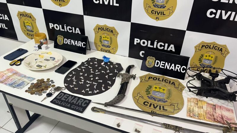 Polícia Civil realiza apreensão de mais de 10 mil quilos de drogas em 2024