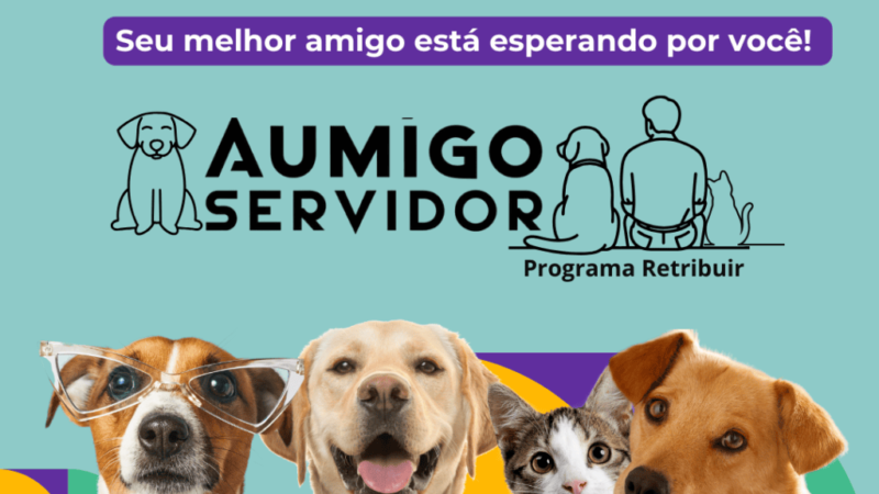 Secretaria do Planejamento realiza campanha de adoção para cães e gatos