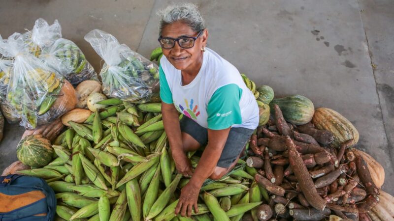 Com investimentos de R$ 8,3 milhões, Governo distribui quase mil toneladas de alimentos para famílias em vulnerabilidade