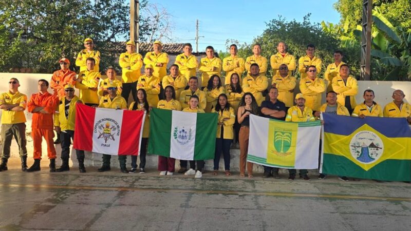 Semarh fortalece ações de combate aos focos de incêndios florestais no Piauí