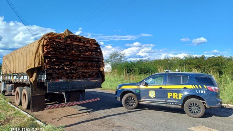 PRF apreende carga ilegal de madeira e anfetaminas em Piripiri