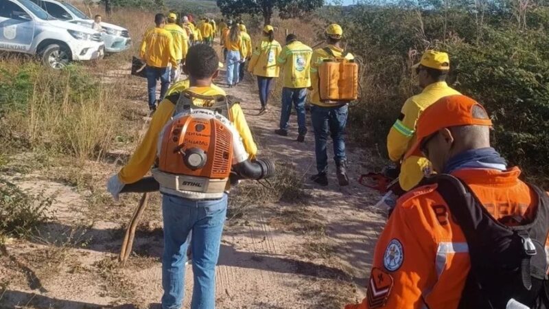 Piauí tem mais de 500 focos de incêndio em agosto e Bombeiros fazem alerta