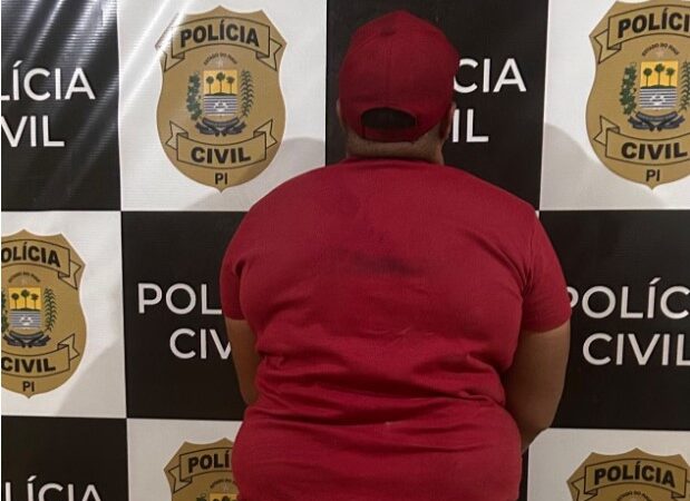 Polícia Civil prende mulher por roubo em Barras